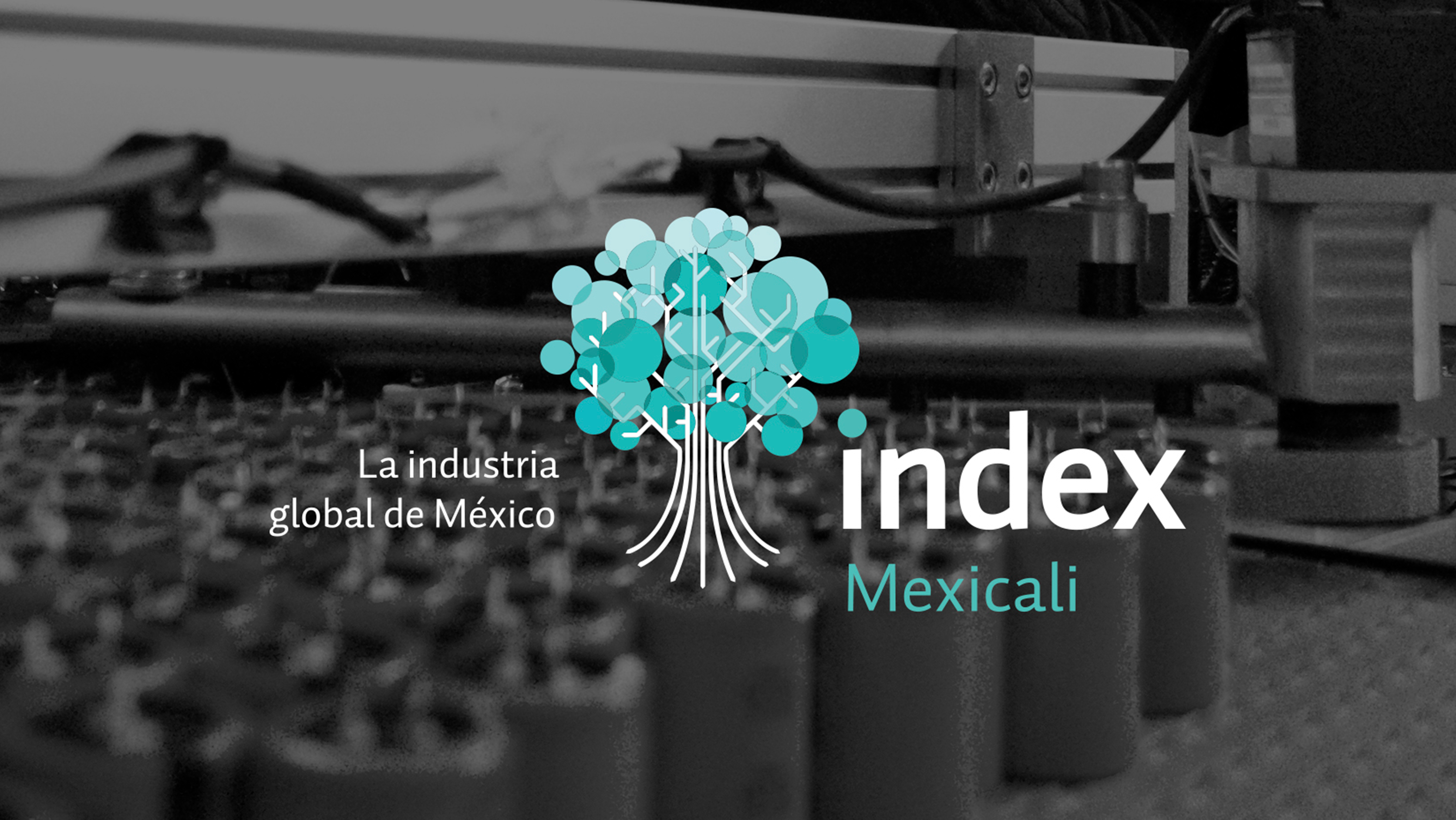 Agencia de diseño y publicidad 13 Inde Hero Image